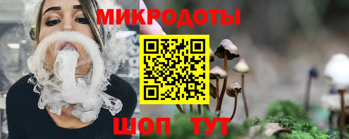 Галлюциногенные грибы Psilocybe  Вход с VPN  Гатчина 